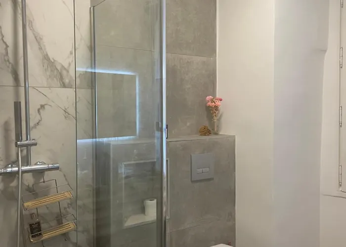 120 M2, Hyper Centre Cathedrale Proximite Apartment